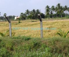 Agricultural Vacant Land Sale in Neelambur Coimbatore