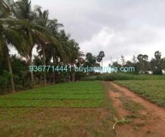 Agricultural Property Buy in Coimbatore