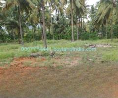 Agricultural Property Sale in Coimbatore