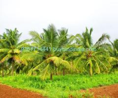 Agricultural property 2acers land sale in neelambur coimbatore