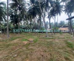 Agricultural with Coconut Tree land for sale  Somanur to Ayyakovil Road, Ayyampalayam