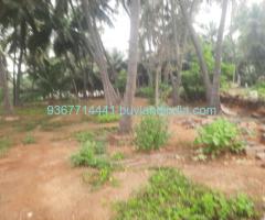 Agricultural Property 1.75acers Land Sale in Valai Thotathu Ayyan Kovil Somanur