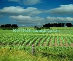 Sale Residential Commercial Agricultural Industrial Land