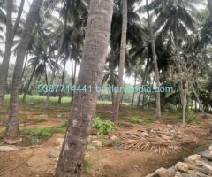 Agricultural Property 1.75acers Land Sale in Valai Thotathu Ayyan Kovil Somanur